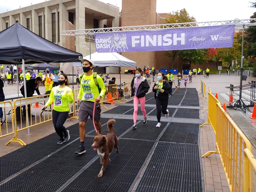 Some 300 or more dogs also did this race. 